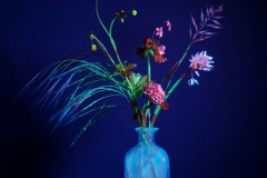 STILL LIFE IM UV-LICHT